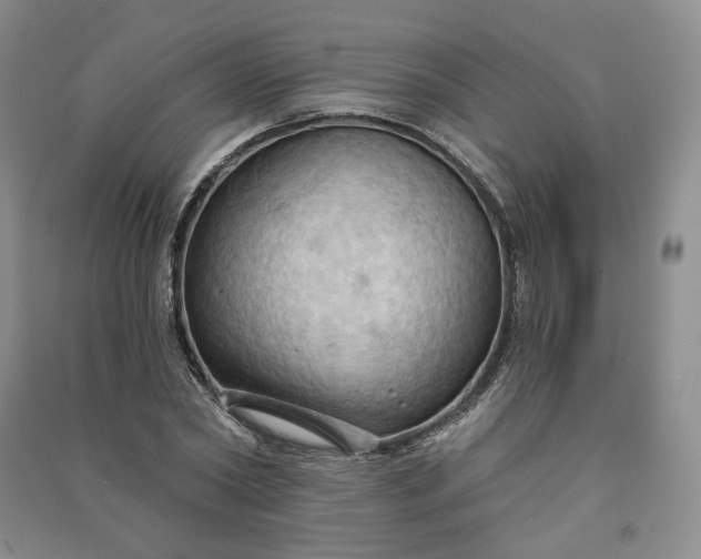 X0000090980782200708161855