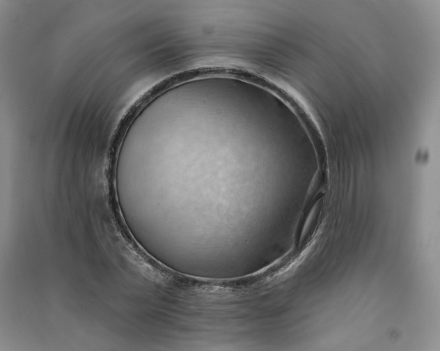 X0000090980783200708161855