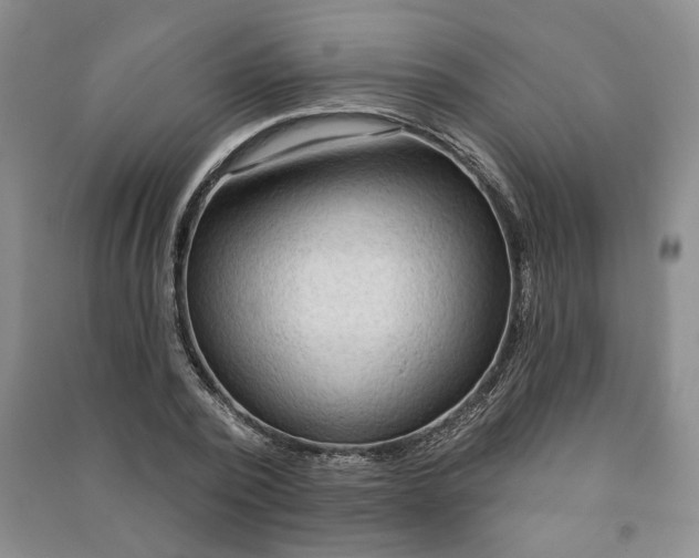 X0000090980784200708161855