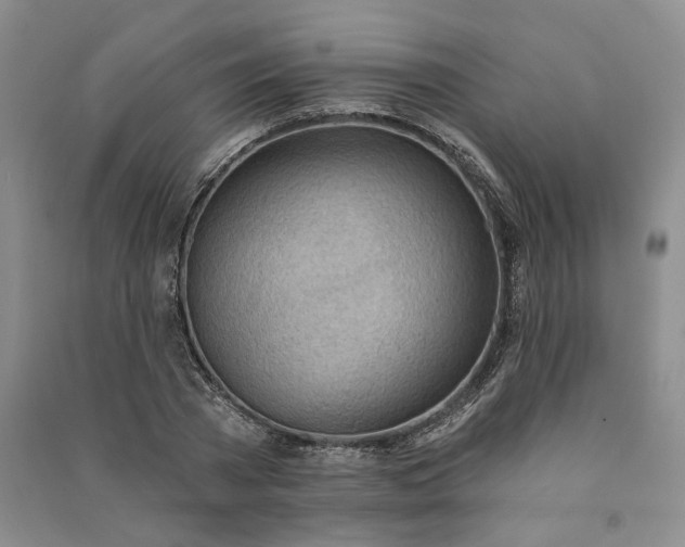 X0000090980785200708161855