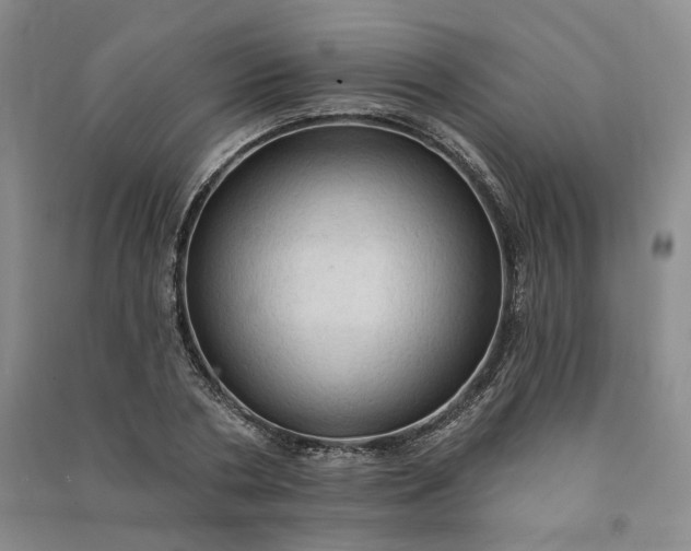 X0000090980786200708161855