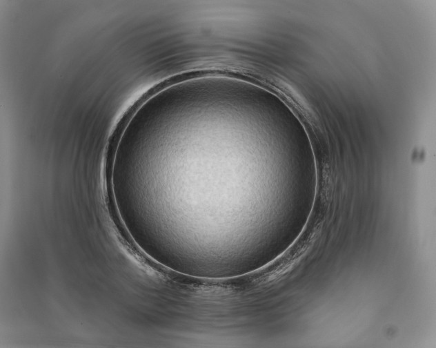 X0000090980788200708161855