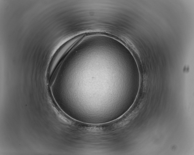 X0000090980789200708161855
