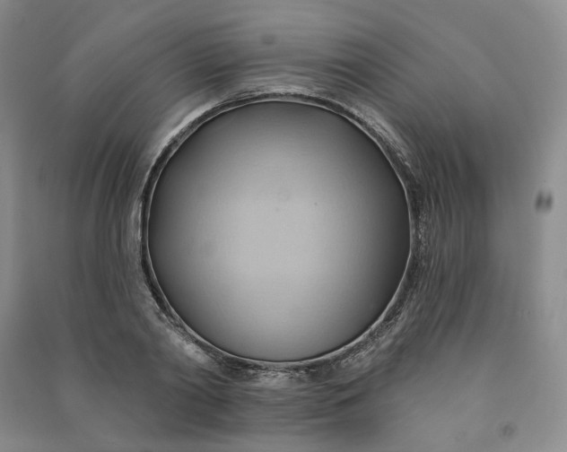 X0000090980790200708161855
