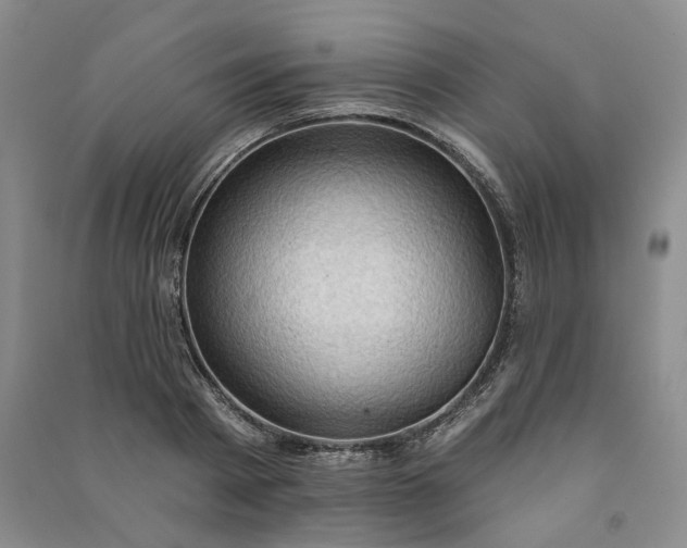 X0000090980793200708161855