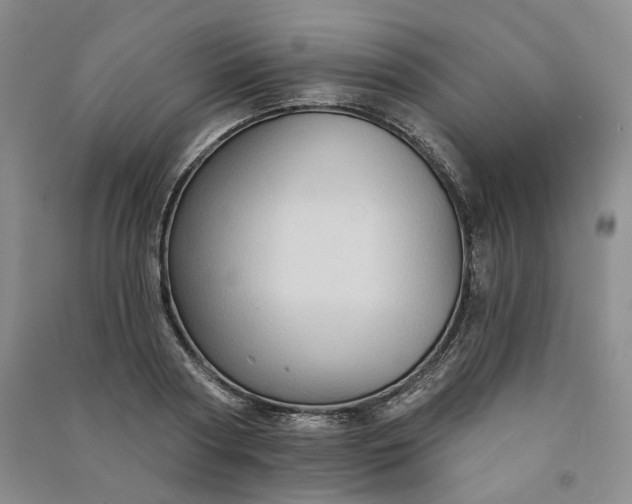X0000090980794200708161855