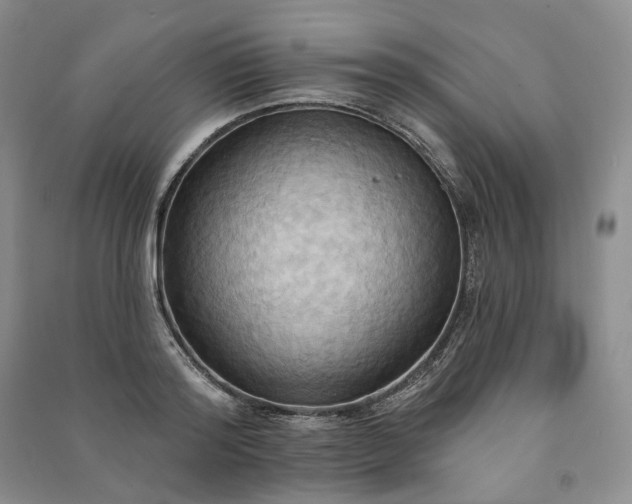 X0000090980796200708161855