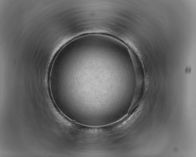 X0000090980797200708161855