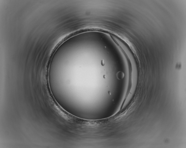 X0000090980799200708161855