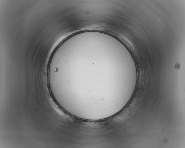 X0000090980800200708161855