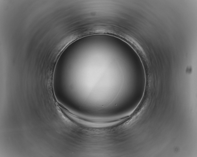 X0000090980801200708161855