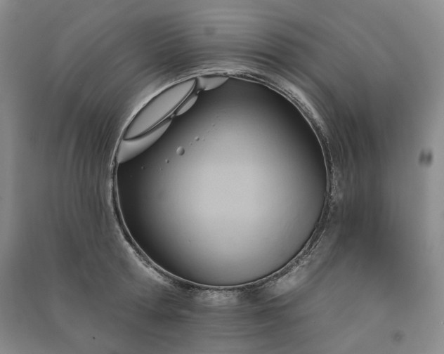 X0000090980802200708161855