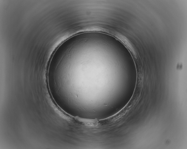X0000090980805200708161855