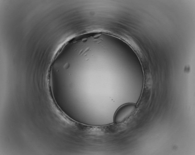 X0000090980806200708161855