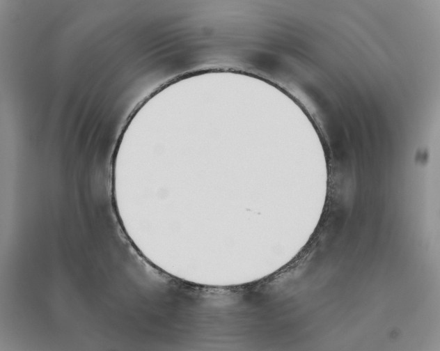 X0000090980807200708161855
