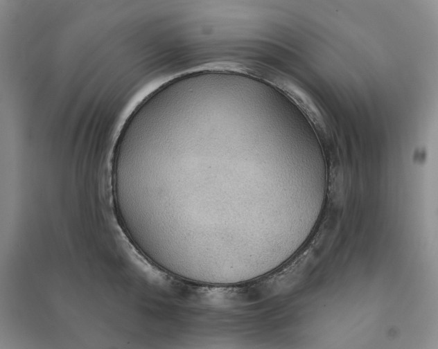 X0000090980808200708161855