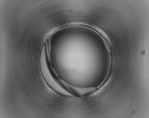 X0000090980809200708161855