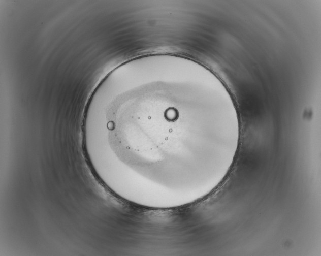 X0000090980810200708161855