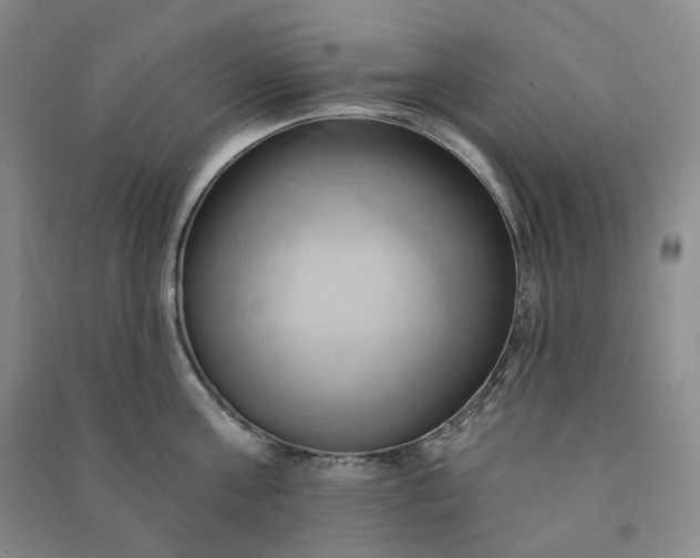 X0000090980811200708161855