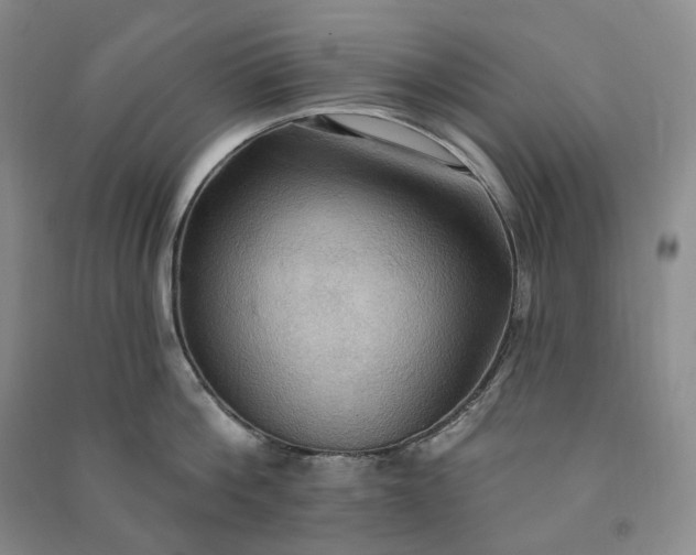 X0000090980812200708161855