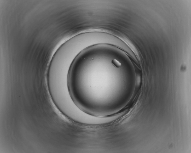 X0000090980813200708161855