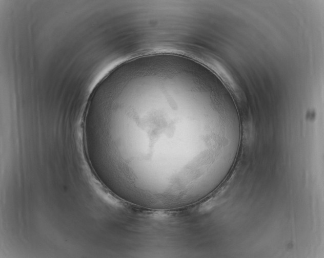 X0000090980814200708161854