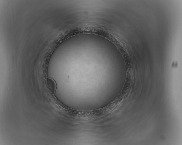 X0000090980817200708161854