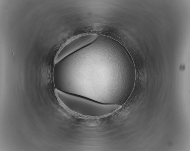 X0000090980818200708161854