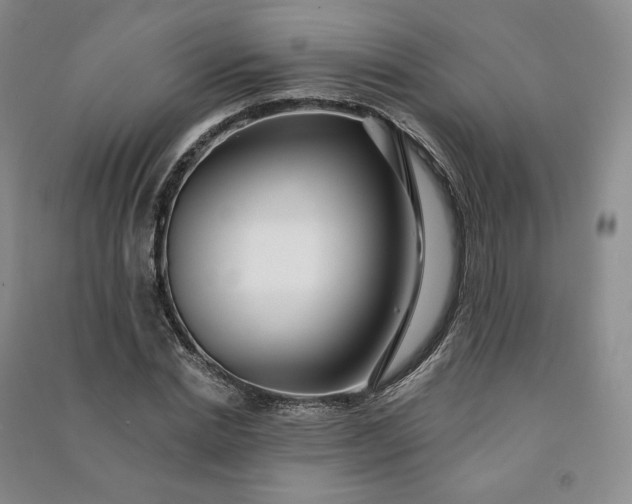 X0000090980830200708161854