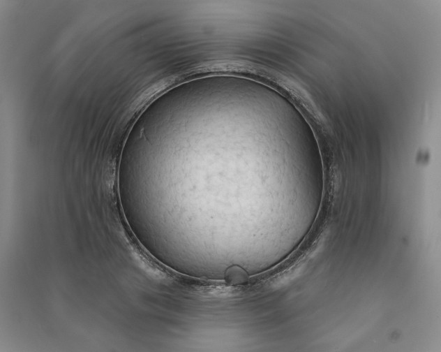 X0000090980841200708161854