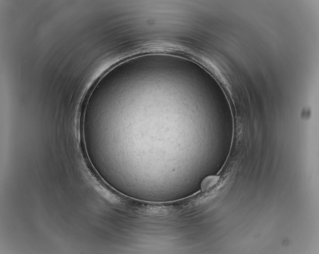 X0000090980843200708161854
