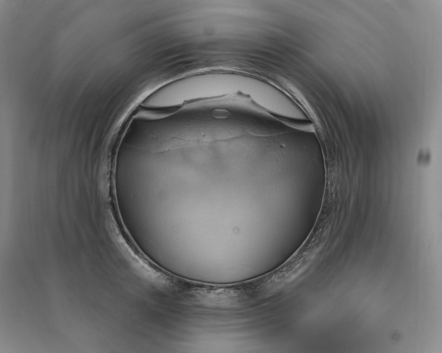 X0000090980851200708161854