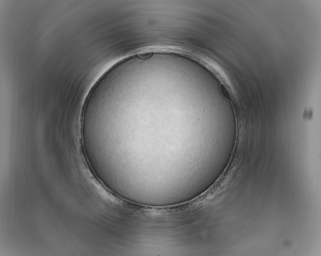 X0000090980852200708161854