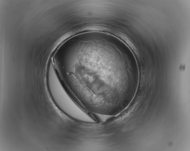 X0000090980853200708161854
