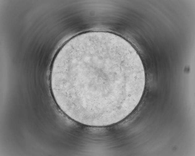 X0000090980856200708161854