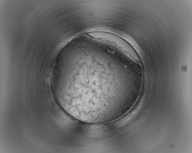 X0000090980857200708161854