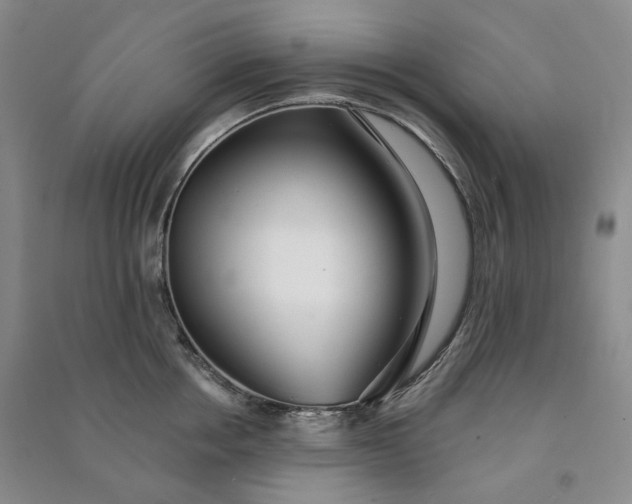 X0000090980858200708161854