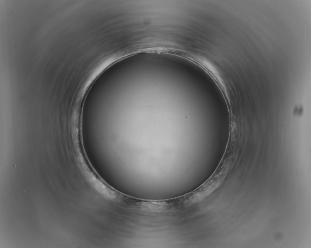 X0000090980859200708161854