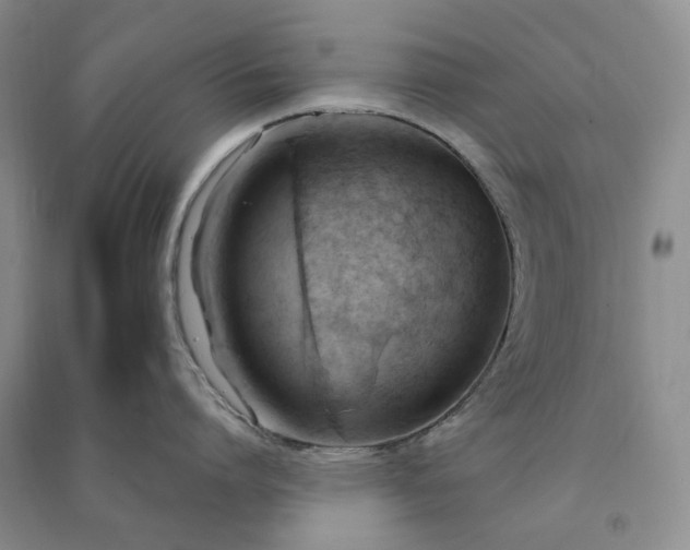 X0000090980864200708161854