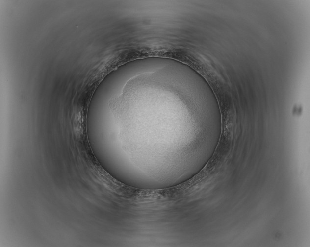 X0000090980866200708161854