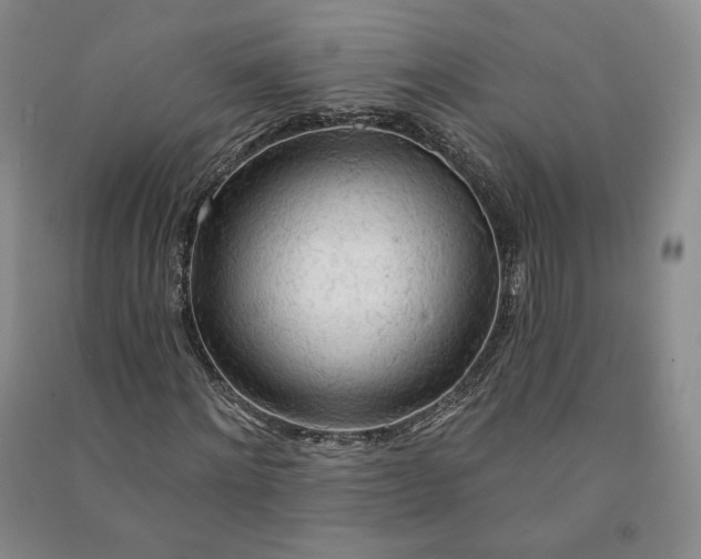X0000090980868200708161854