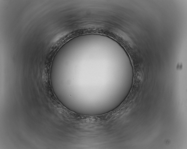 X0000090980869200708161854