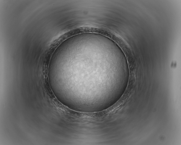 X0000090980870200708161854