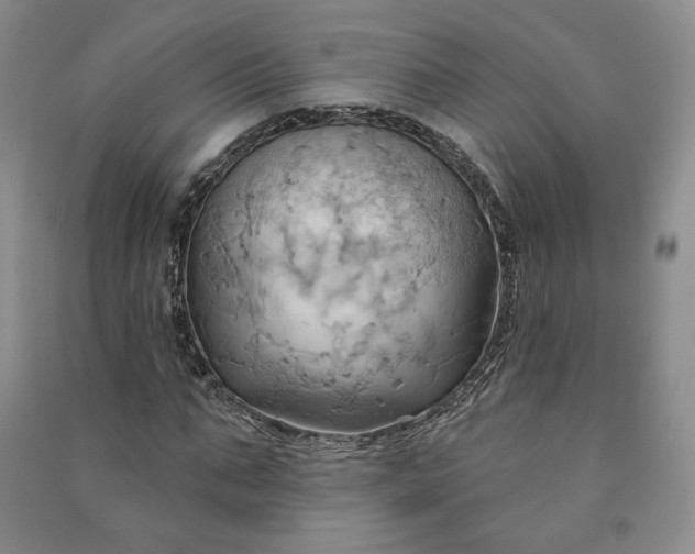 X0000090980871200708161854