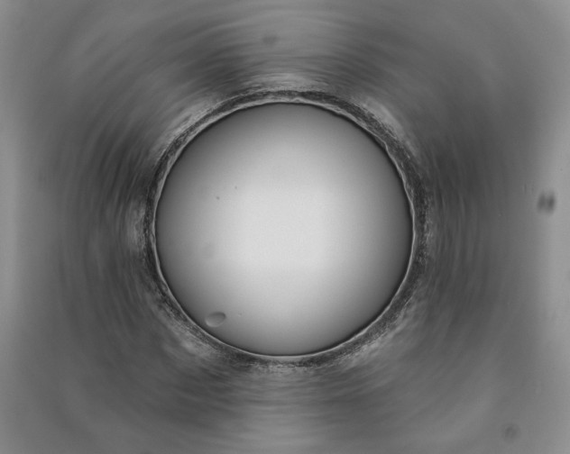 X0000090980873200708161854