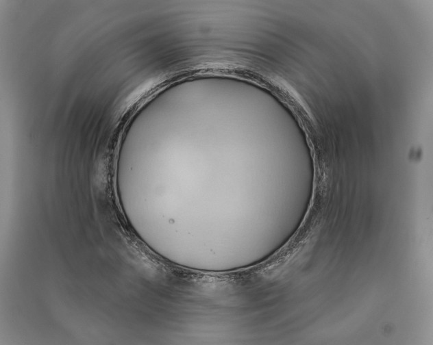 X0000090980874200708161854