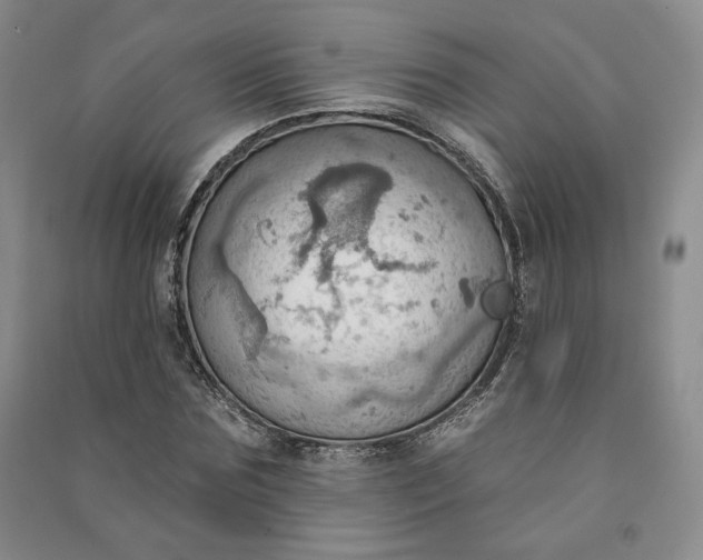 X0000090980875200708161854