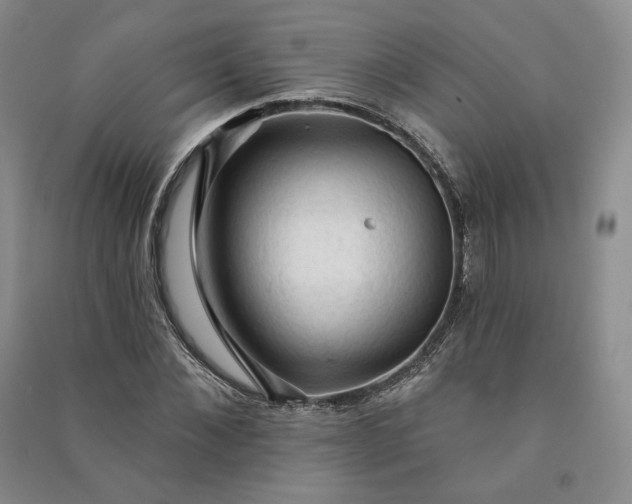 X0000090980876200708161854