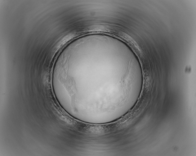 X0000090980882200708161853