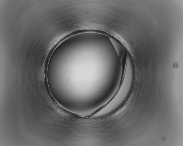 X0000090980885200708161853